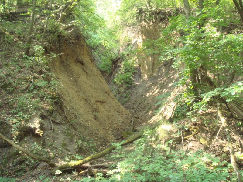 балка чаривна балка чаривна