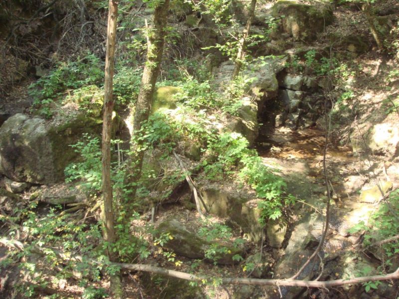 DSC06500 балка чаривна
