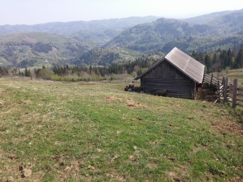 20170504_102946 писаный камень