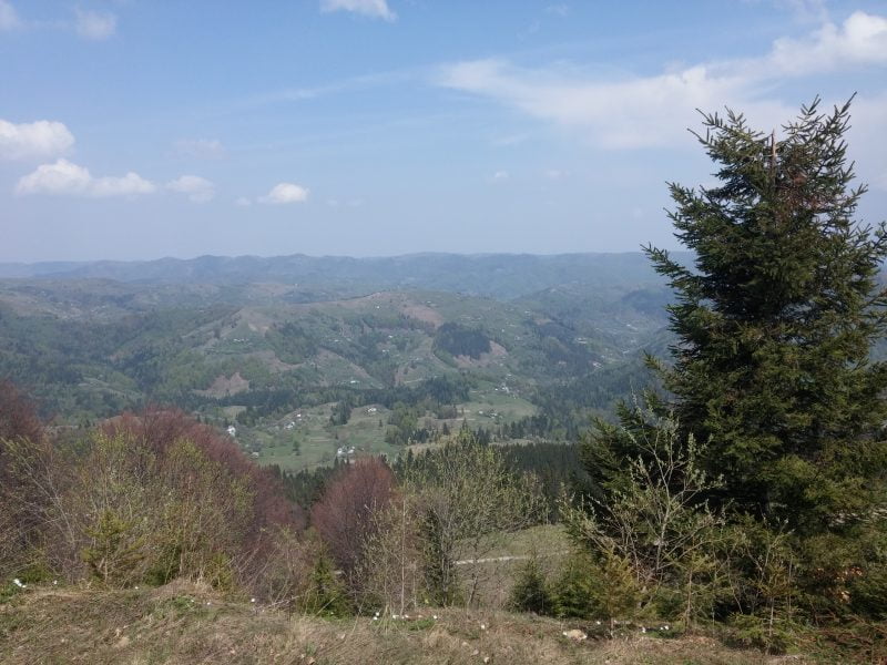 20170504_132624 писаный камень