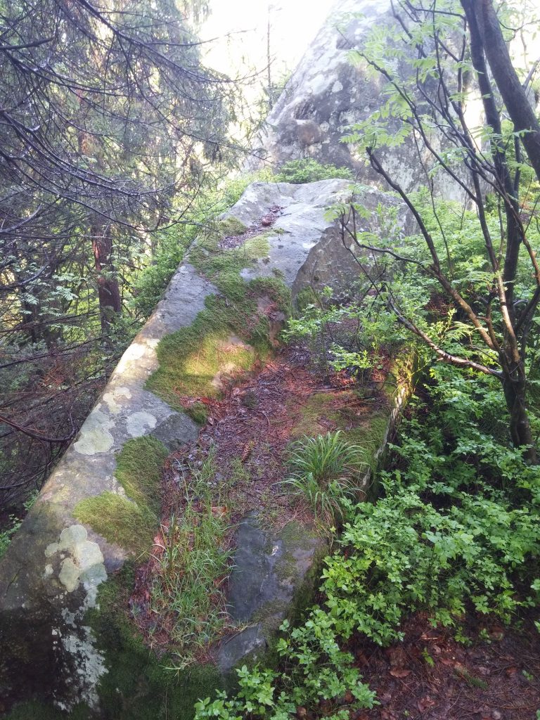 20170506_103051