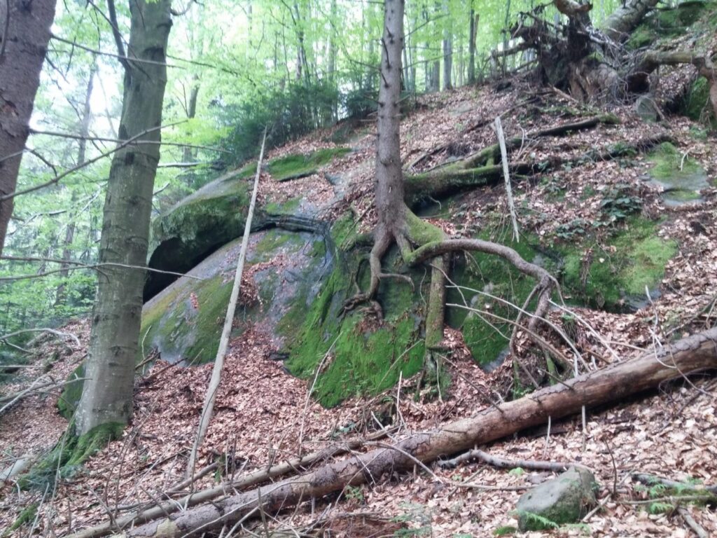 20170506_161931
