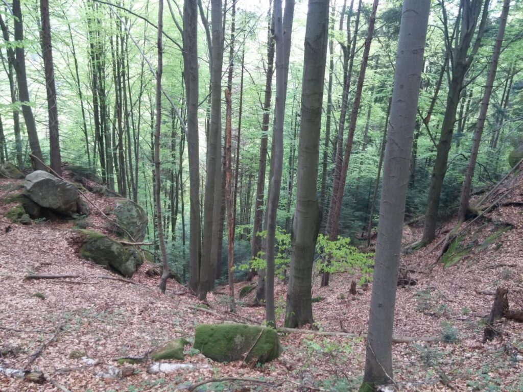 20170506_162719