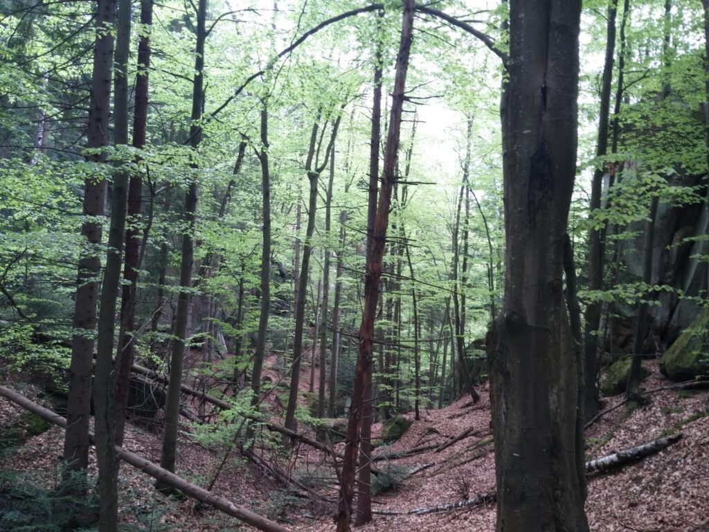 20170506_165631