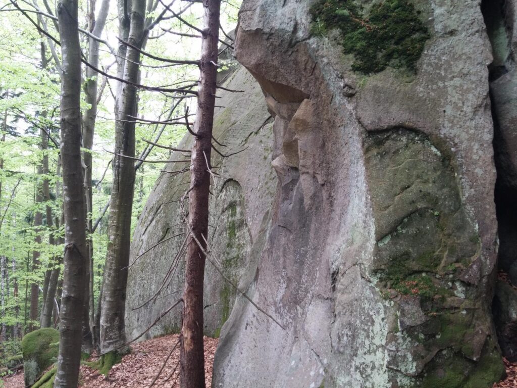 20170506_170044
