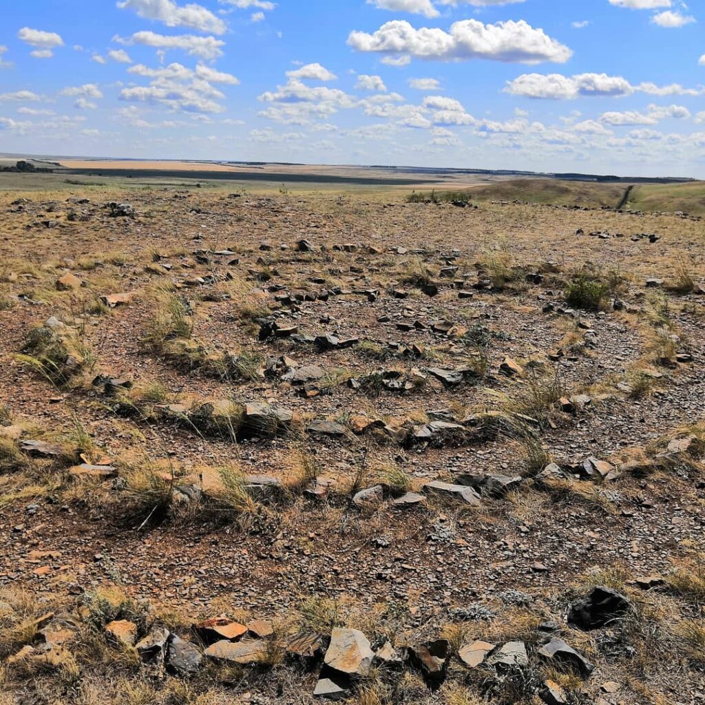 66913774