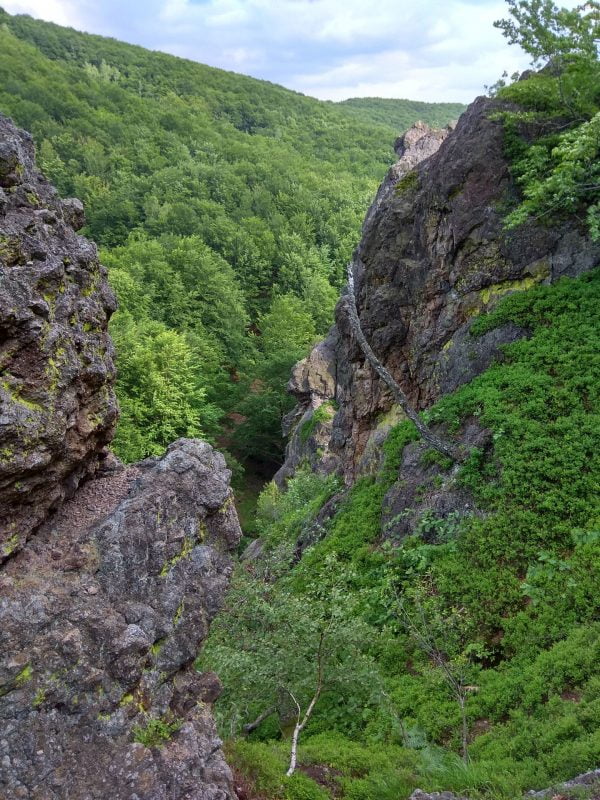 IMG_20190601_171742 смерековый камень