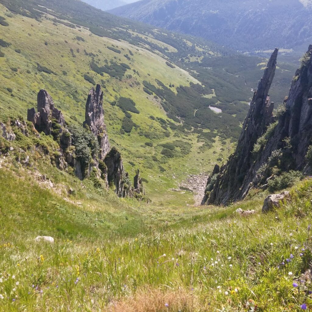 гора шпицы