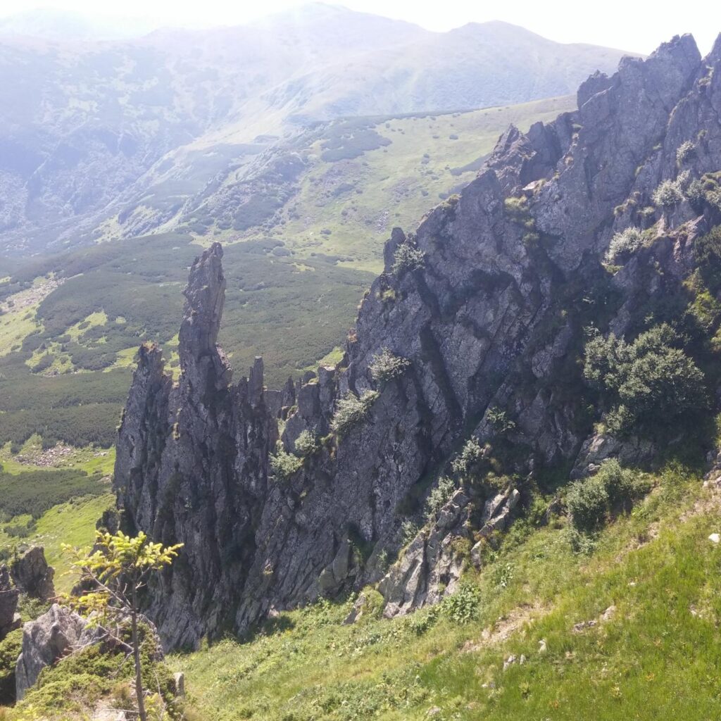 гора шпицы