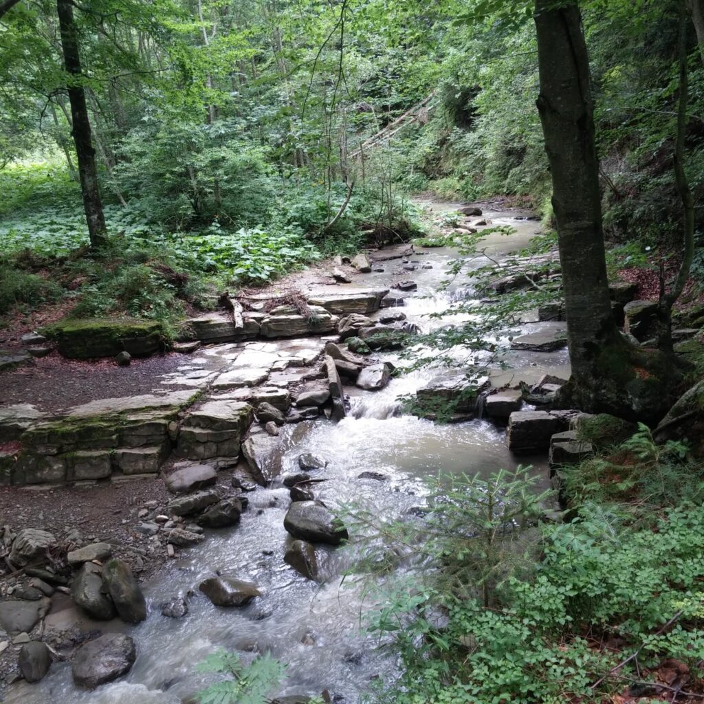 20170808_142307