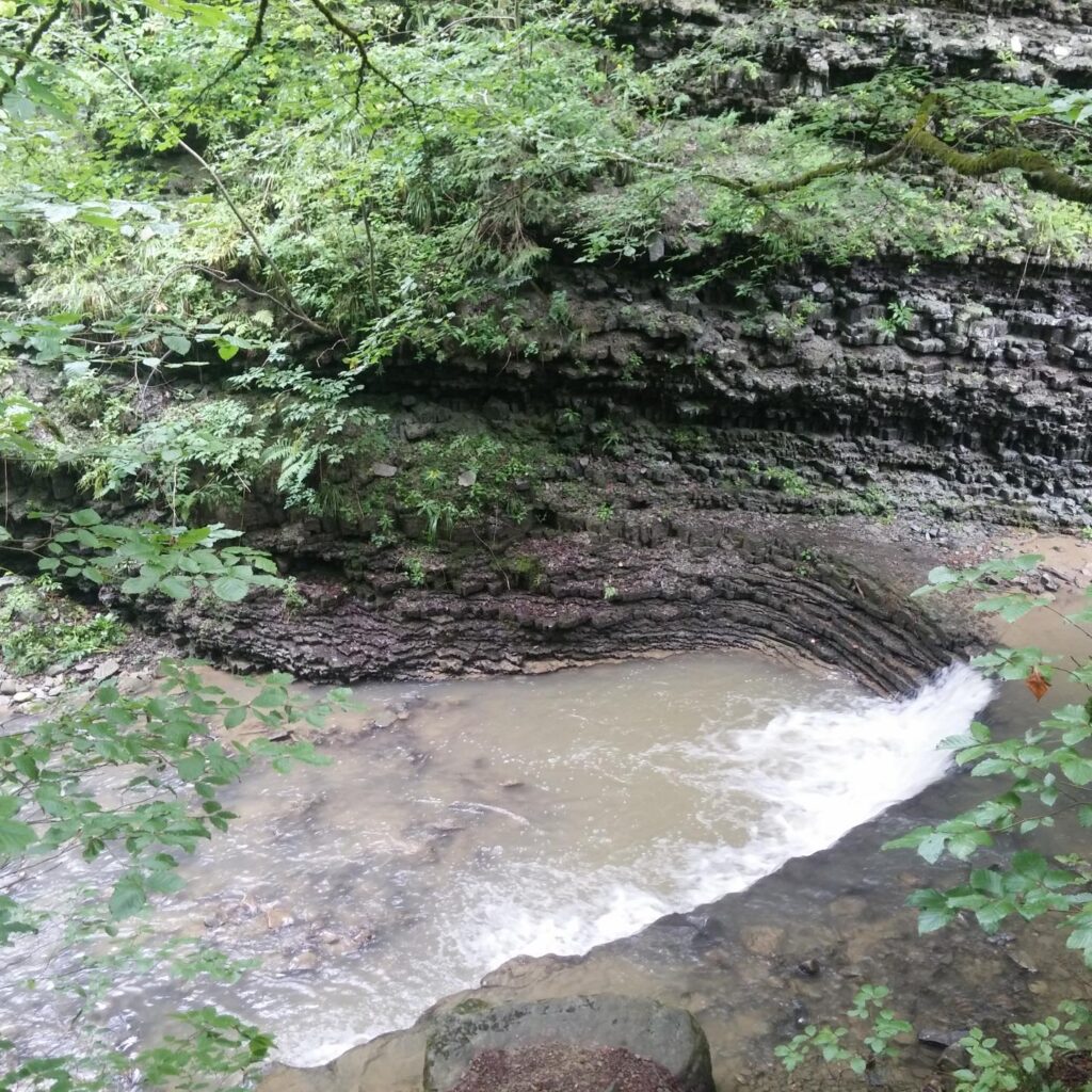 20170808_160124