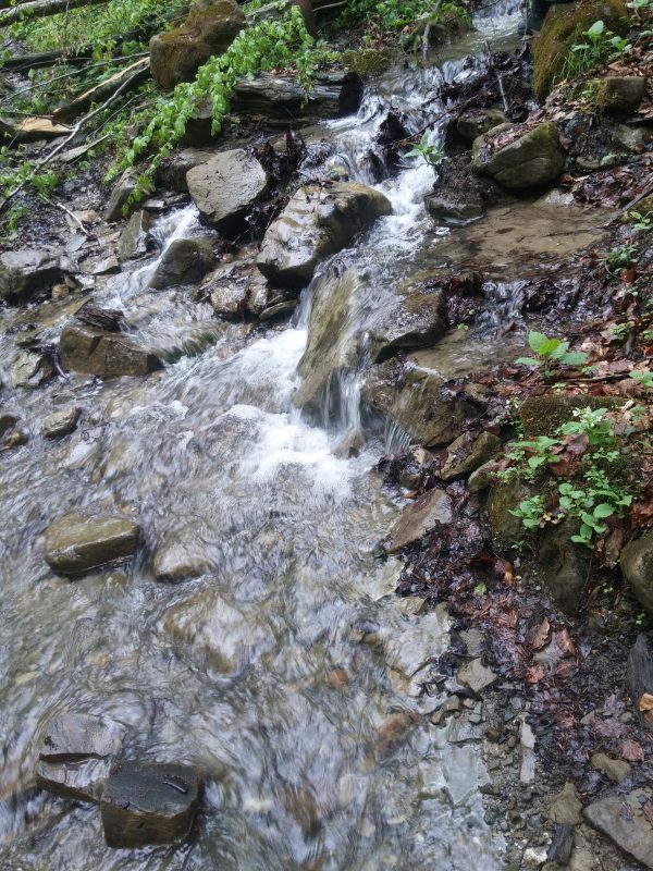 20170505_131110