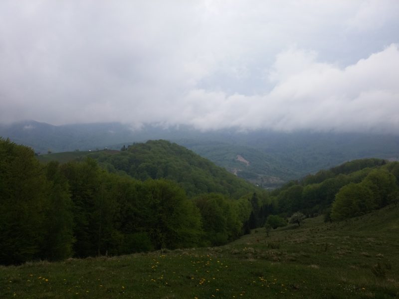 20170505_134738