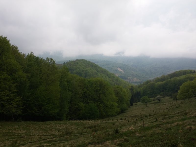 20170505_135212