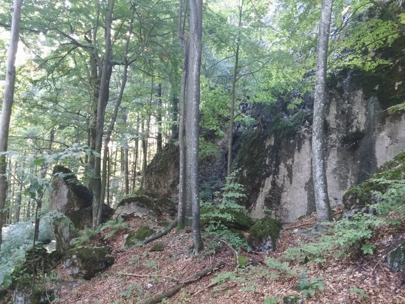 карстовая пещера молочный камень