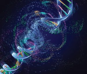 Вплив мови на ДНК