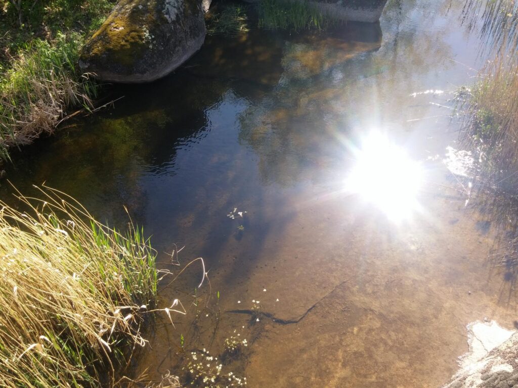 река арбузинка
