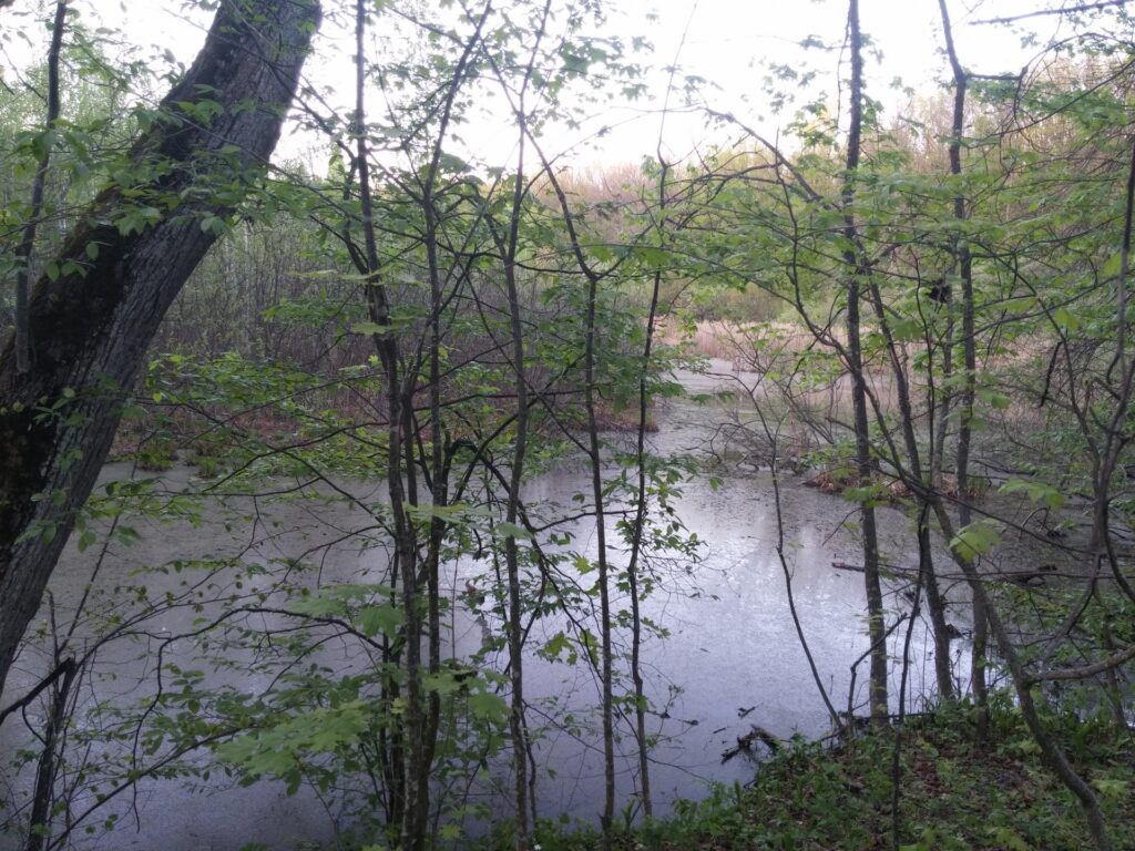20180430_193320