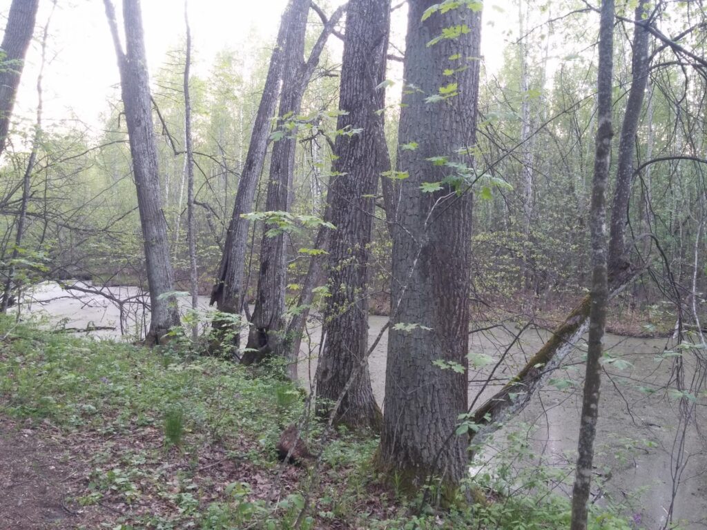 20180430_193323