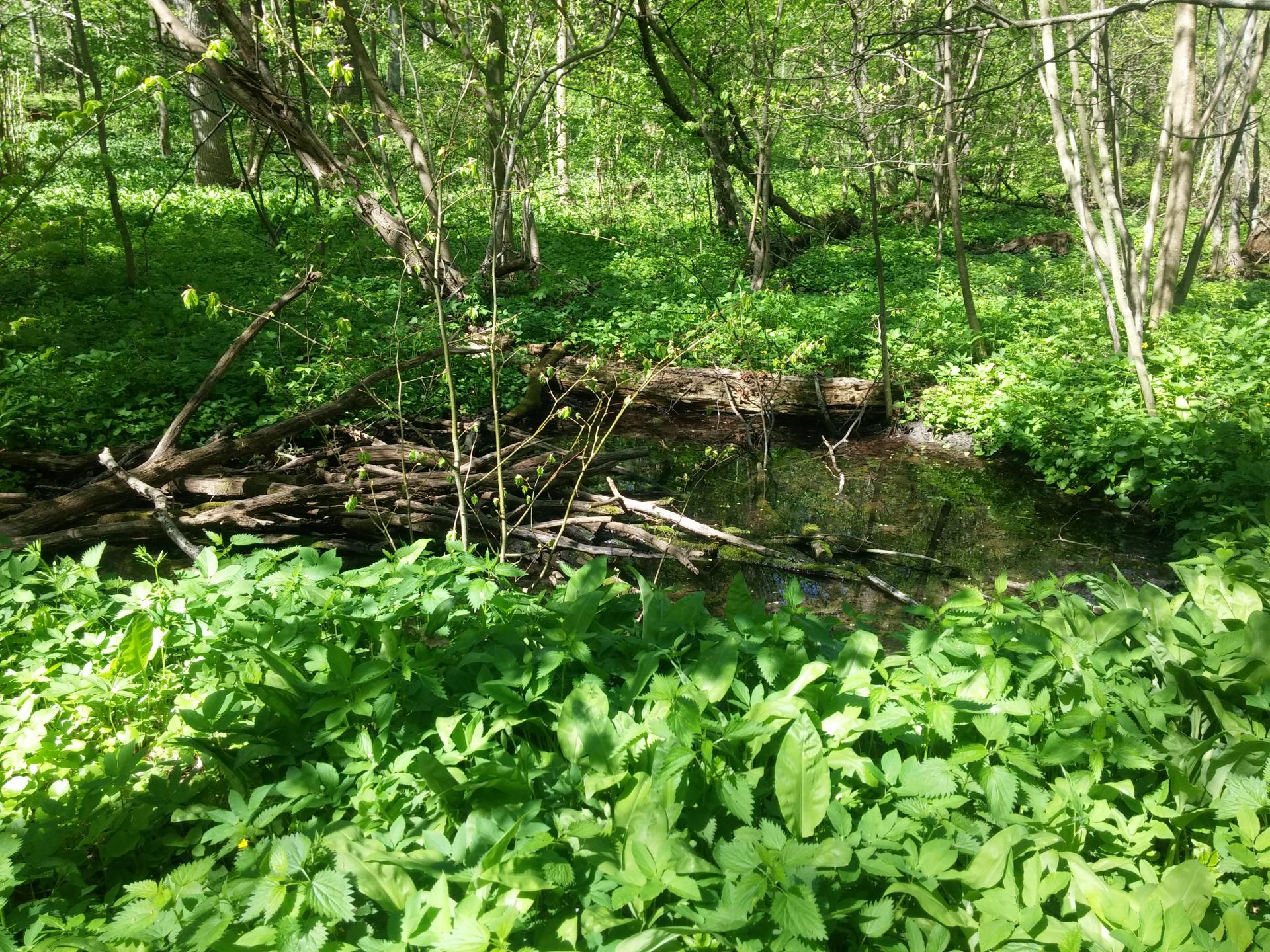 20180501_104629