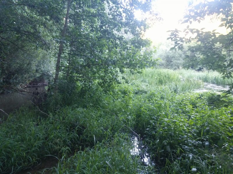20180623_203558 село буша