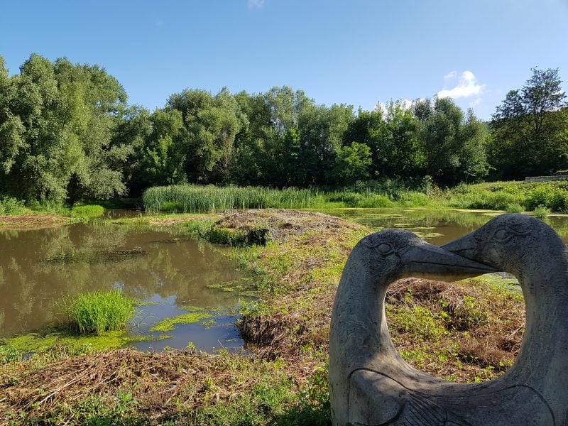 20180624_090518 село буша