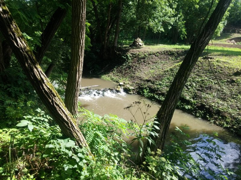 20180624_103549 село буша