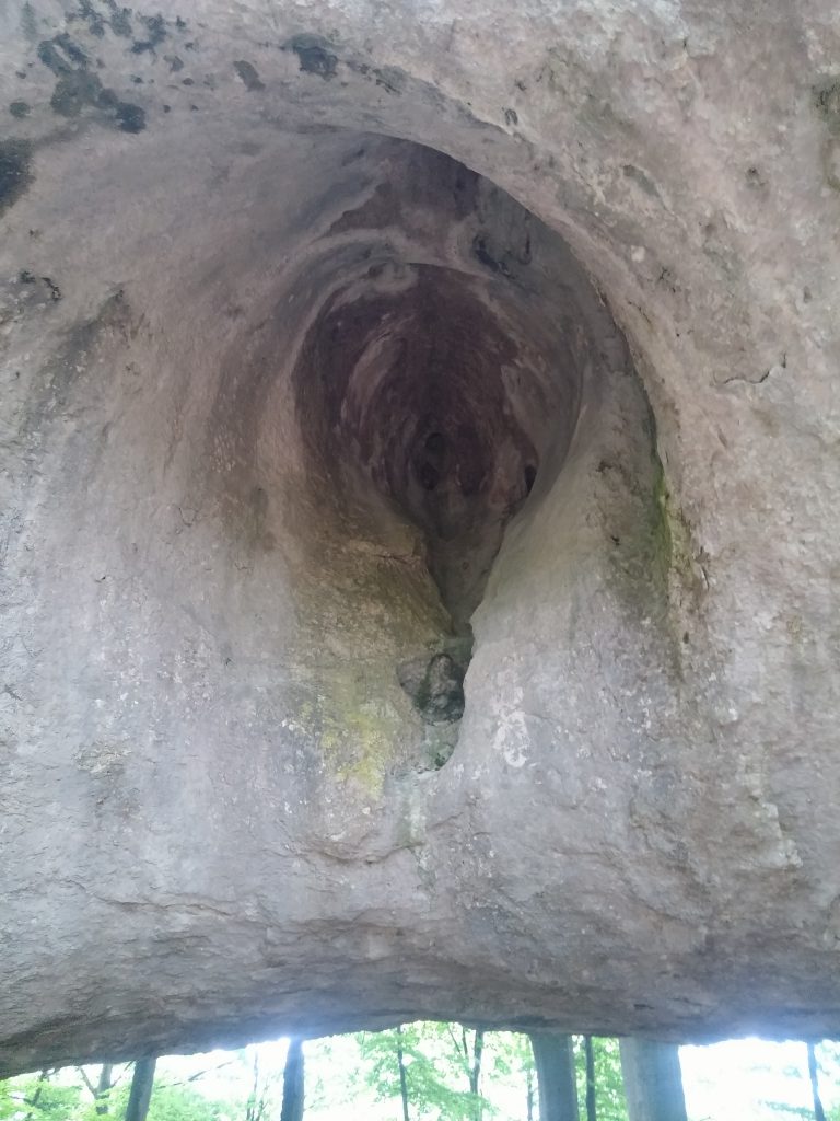 20180630_103624