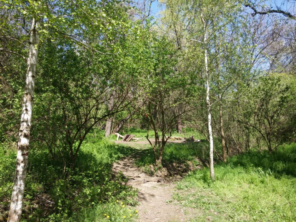 20180422_115820