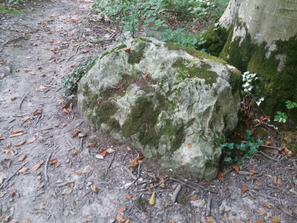 20180919_155610