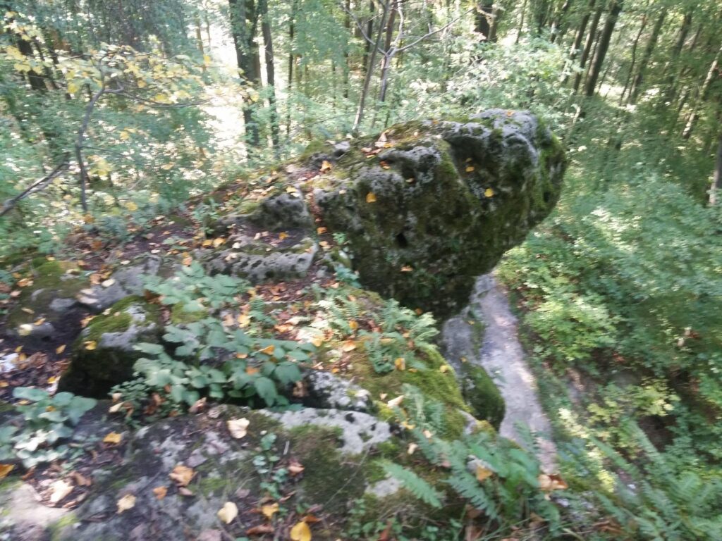 20180919_163403