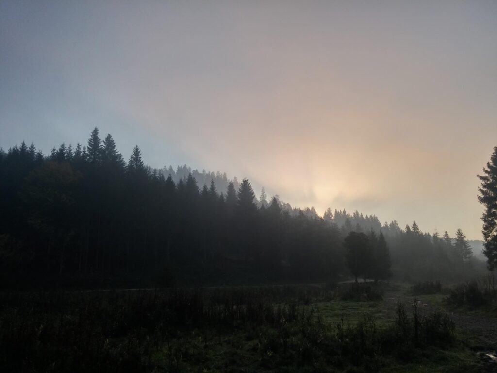 20180920_075555_HDR