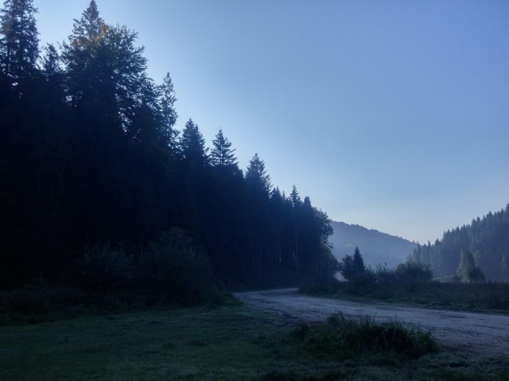 20180920_084817_HDR