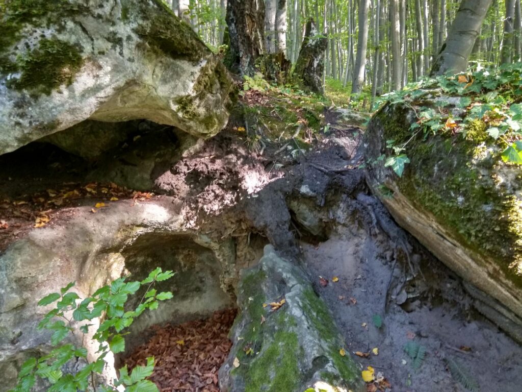 IMG_20180919_163327_HDR