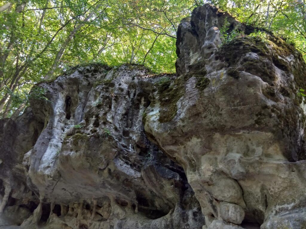 IMG_20180919_163529_HDR
