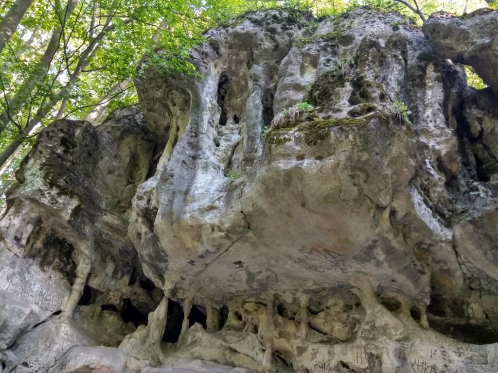 IMG_20180919_163556_HDR
