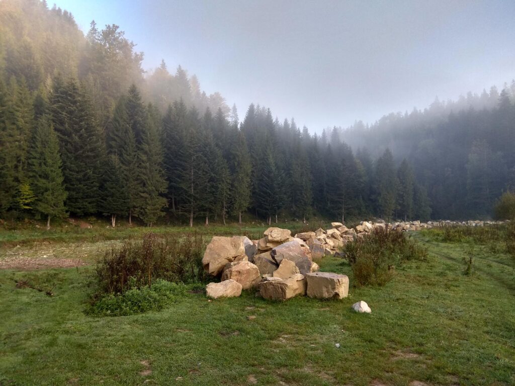 IMG_20180920_075917_HDR