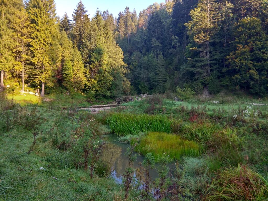 IMG_20180920_085219_HDR