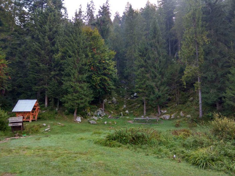 IMG_20180920_085325_HDR