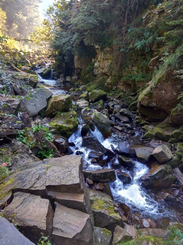 IMG_20180920_100005_HDR