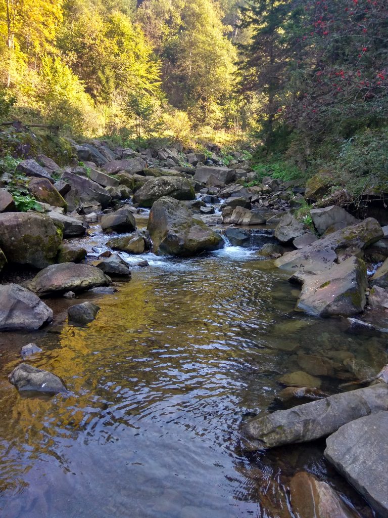 IMG_20180920_101138_HDR