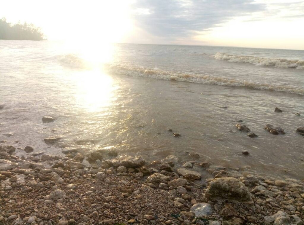 viber image19