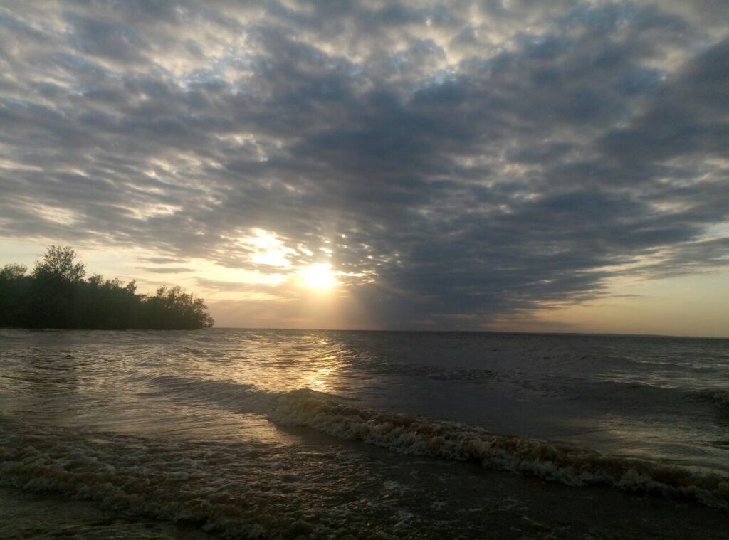viber image7