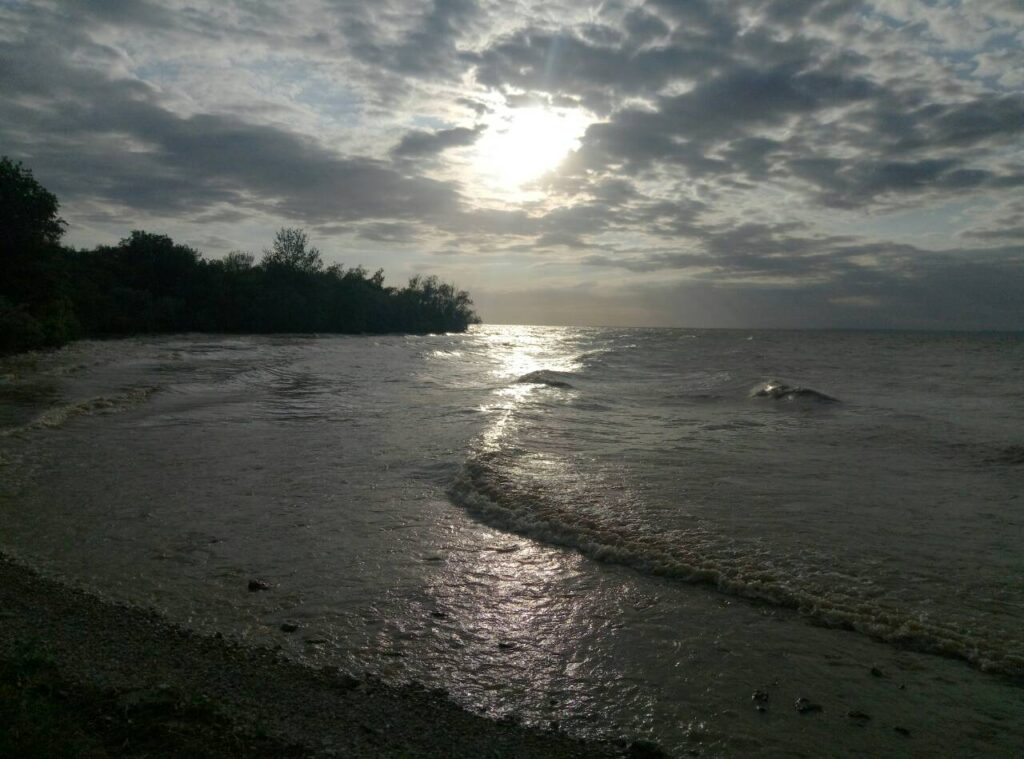 viber image9