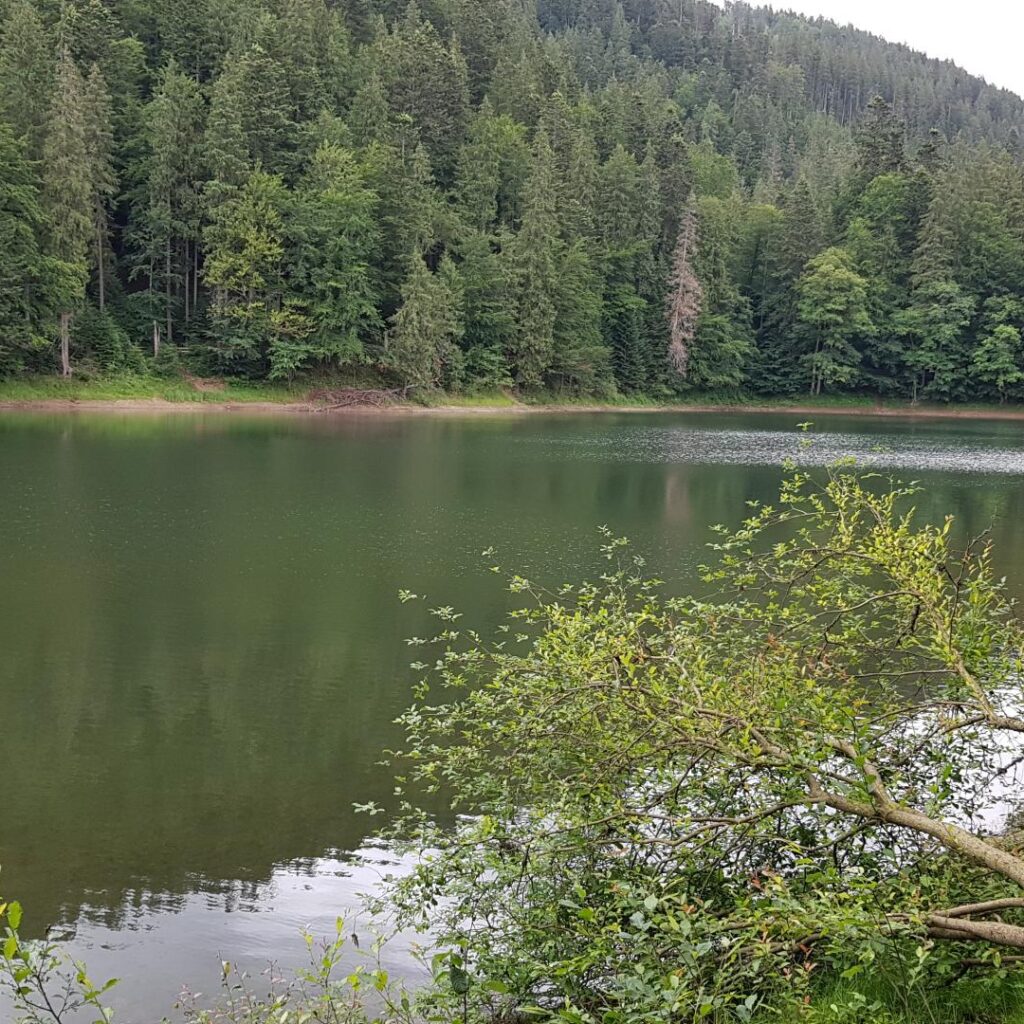 20180630_182934