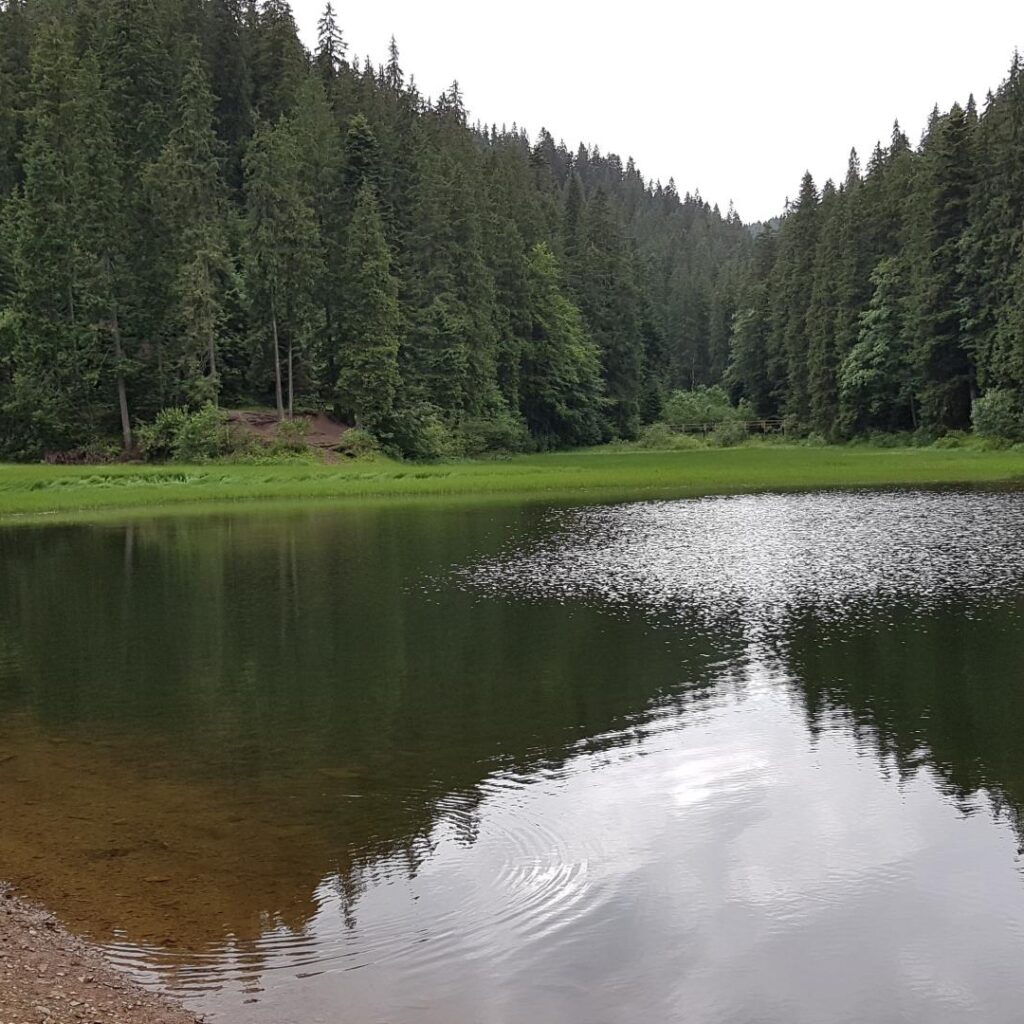 20180630_183049