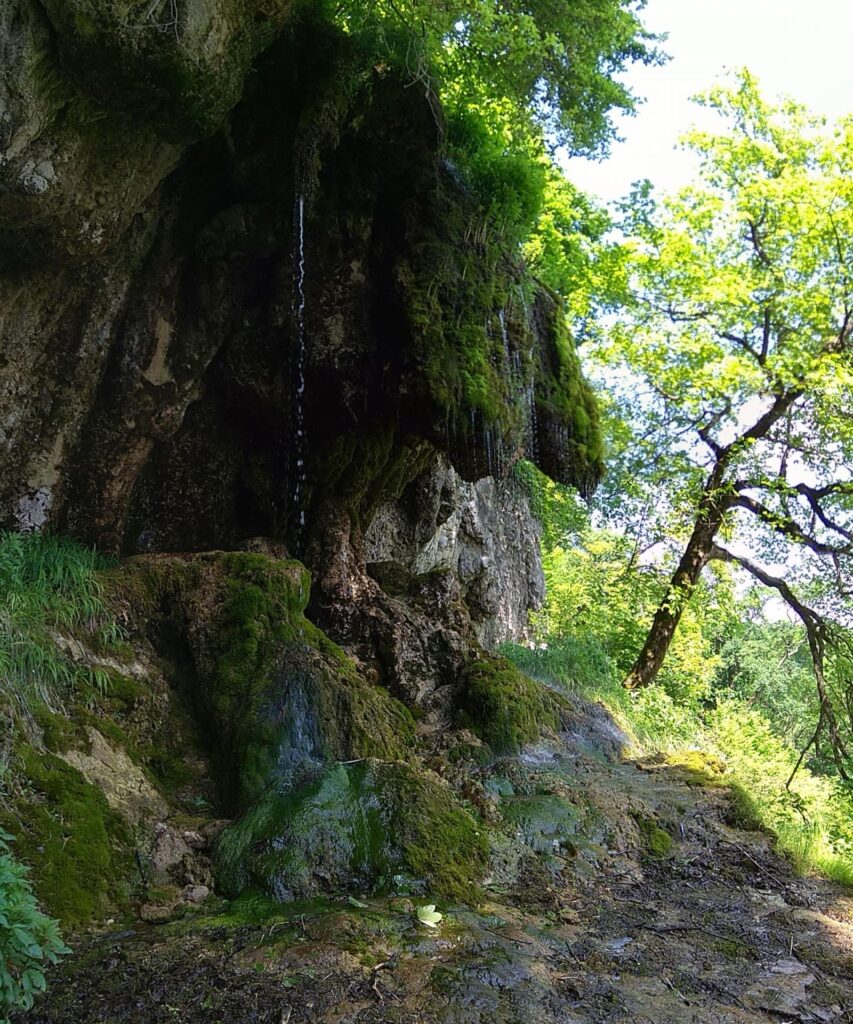 PANO_20190526_121433