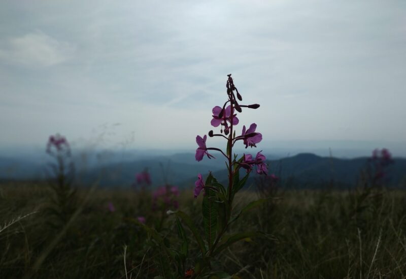 IMG_20190907_125851
