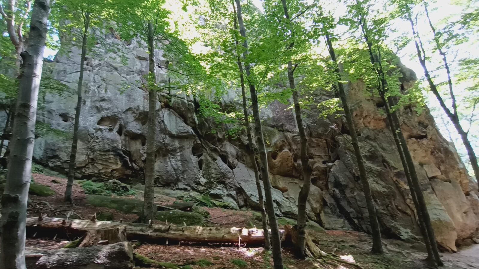 Танасків камінь Танасків камінь