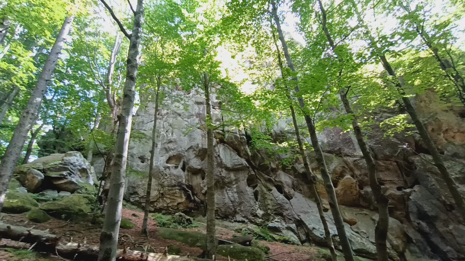 Танасків камінь Танасків камінь